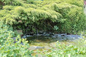 Photo 22- click for photo gallery